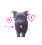 ライフスタイルlove1（個別スタンプ：13）