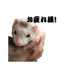 我が家の生き物（個別スタンプ：6）