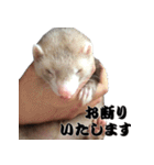 我が家の生き物（個別スタンプ：7）