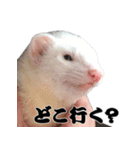 我が家の生き物（個別スタンプ：9）
