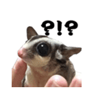 我が家の生き物（個別スタンプ：14）