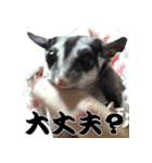 我が家の生き物（個別スタンプ：15）