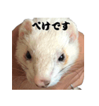 我が家の生き物（個別スタンプ：17）