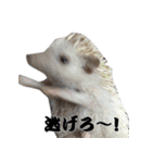 我が家の生き物（個別スタンプ：18）
