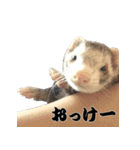 我が家の生き物（個別スタンプ：20）