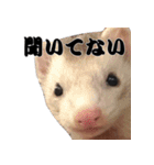 我が家の生き物（個別スタンプ：21）