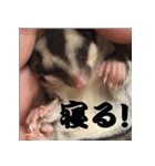 我が家の生き物（個別スタンプ：22）