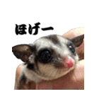 我が家の生き物（個別スタンプ：23）
