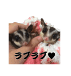我が家の生き物（個別スタンプ：26）