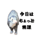 我が家の生き物（個別スタンプ：33）