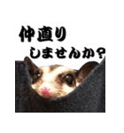 我が家の生き物（個別スタンプ：40）