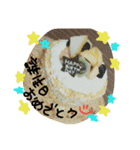 いただきます。（個別スタンプ：16）