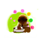 ミックス犬ももの日常（個別スタンプ：4）
