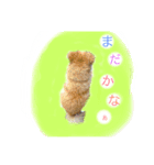 ミックス犬ももの日常（個別スタンプ：6）