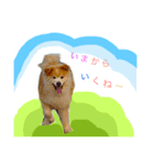 ミックス犬ももの日常（個別スタンプ：7）