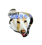 ちぃむらいむ2（個別スタンプ：2）