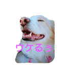 ちぃむらいむ2（個別スタンプ：6）