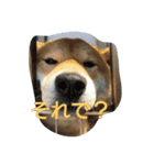 ちぃむらいむ2（個別スタンプ：7）