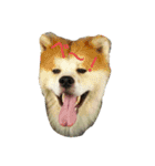 ちぃむらいむ2（個別スタンプ：12）