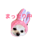 いやしのまりあ（個別スタンプ：3）