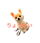 いやしのまりあ（個別スタンプ：4）