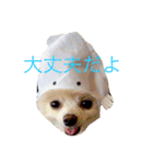 いやしのまりあ（個別スタンプ：5）
