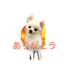 いやしのまりあ（個別スタンプ：6）