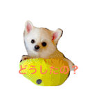 いやしのまりあ（個別スタンプ：8）