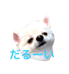 いやしのまりあ（個別スタンプ：13）