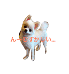 いやしのまりあ（個別スタンプ：14）