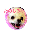 いやしのまりあ（個別スタンプ：17）
