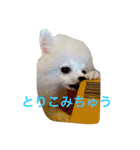 いやしのまりあ（個別スタンプ：18）