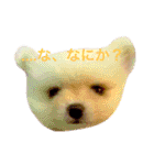 いやしのまりあ（個別スタンプ：19）