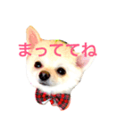 いやしのまりあ（個別スタンプ：20）