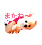 いやしのまりあ（個別スタンプ：23）