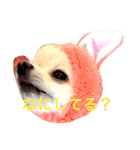 いやしのまりあ（個別スタンプ：24）