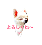 いやしのまりあ（個別スタンプ：26）