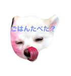 いやしのまりあ（個別スタンプ：27）