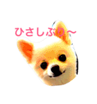いやしのまりあ（個別スタンプ：29）