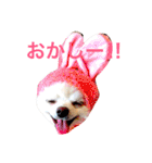 いやしのまりあ（個別スタンプ：30）