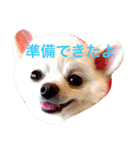 いやしのまりあ（個別スタンプ：31）