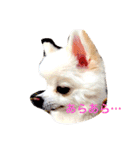 いやしのまりあ（個別スタンプ：33）