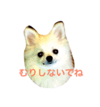 いやしのまりあ（個別スタンプ：34）