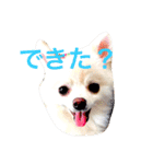いやしのまりあ（個別スタンプ：35）