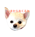 いやしのまりあ（個別スタンプ：36）