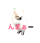 いやしのまりあ（個別スタンプ：38）