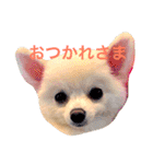 いやしのまりあ（個別スタンプ：39）