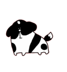 しろくろシーズー（個別スタンプ：5）