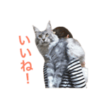 ひなた＆みかんと猫友会の仲間たち（個別スタンプ：12）