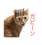 ひなた＆みかんと猫友会の仲間たち（個別スタンプ：23）